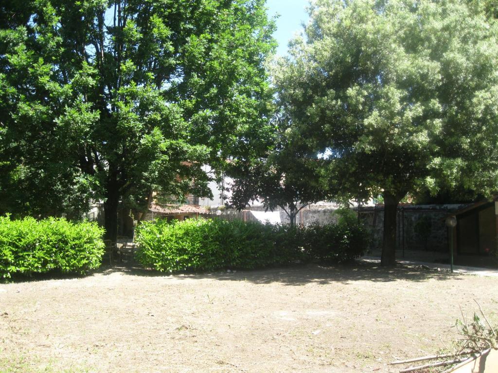 Villa Patrizia B&B Lucca Ngoại thất bức ảnh